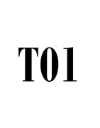 T01